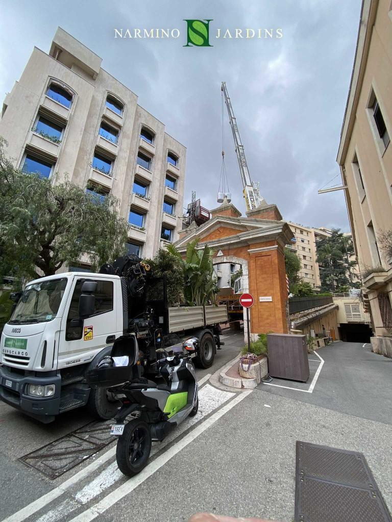 Soil and plants for a roof terrace in Monaco