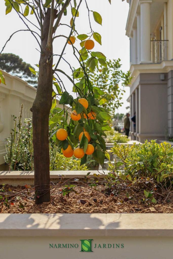 Bacs, plantes et végétaux