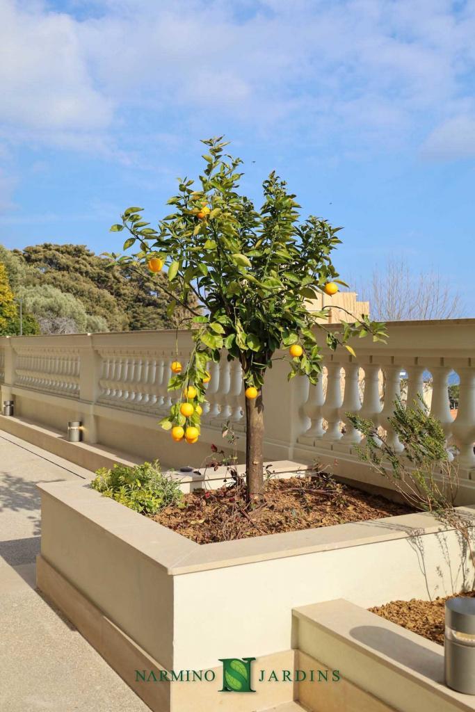 Des citrons sur une terrasse