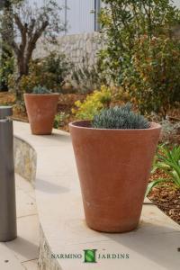 Round terracotta pots