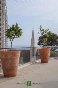 Round terracotta tubs with citrus fruits