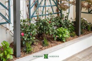 A beautiful variety of plants for this private garden in Monaco