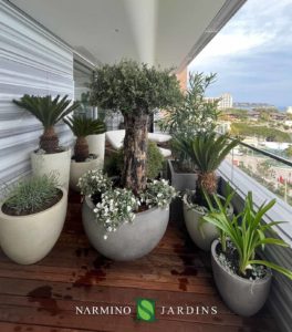 Maintenance and decoration of terraces and balconies at Larvotto