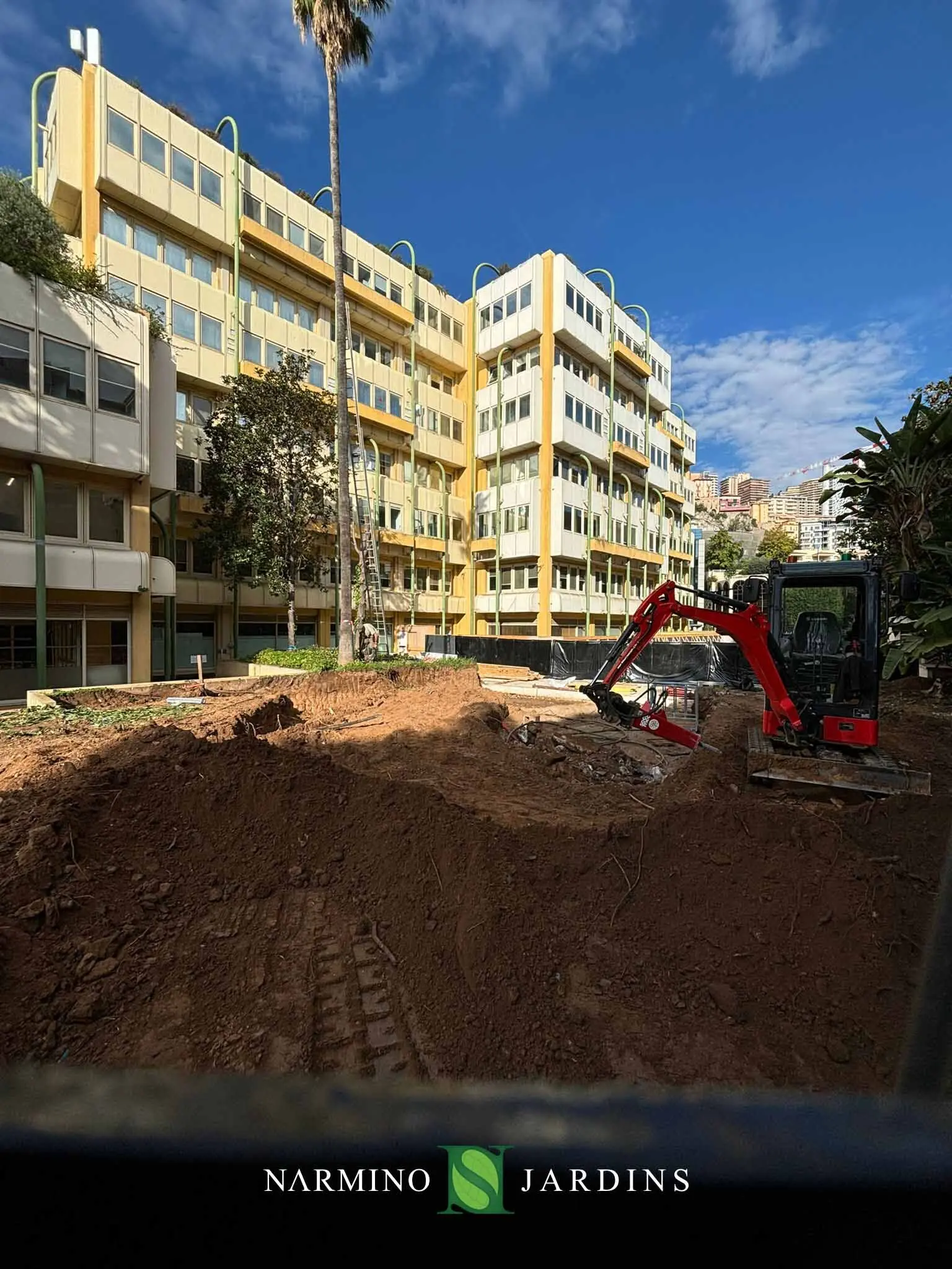 Enlèvement sécurisé d’un palmier de grande taille à Monaco