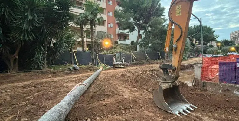Excavation work around a large palm tree in Monaco