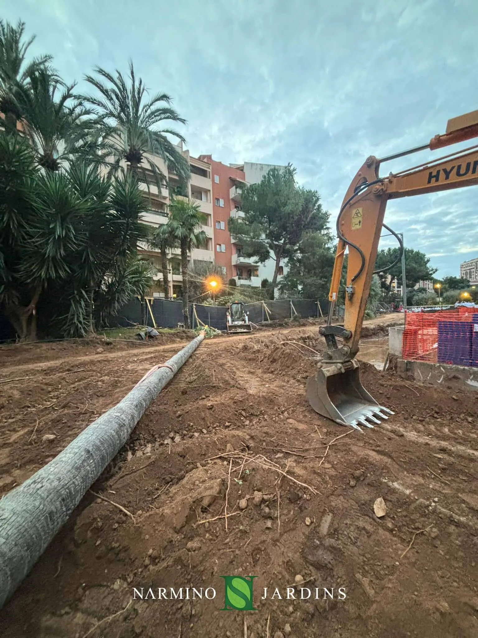 Travaux de terrassement autour d’un grand palmier à Monaco