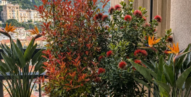 Jardinière sur mesure avec plantes méditerranéennes à la résidence Millefiori
